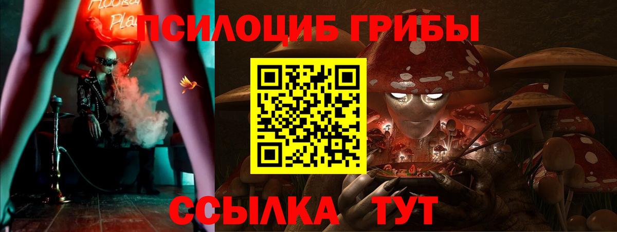 Галлюциногенные грибы Cubensis  Вход с VPN  Псилоцибиновые грибы мухоморы  Медногорск 